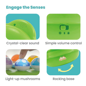 Best Learning Mushroom Garden memory pattern activity enhances attention and sequencing.