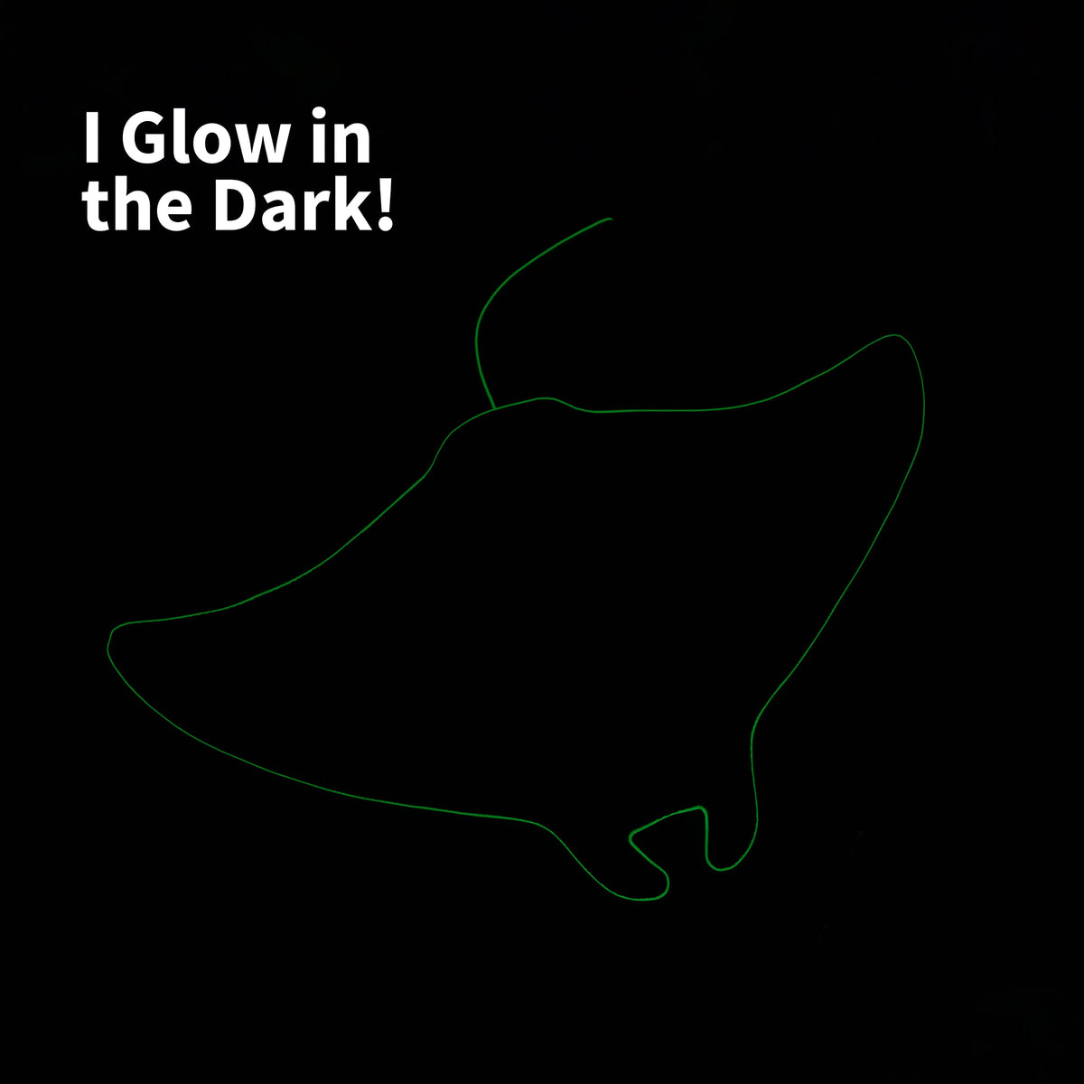 Big Joe Pool Petz Manta Ray glow edges illuminate evening pool time