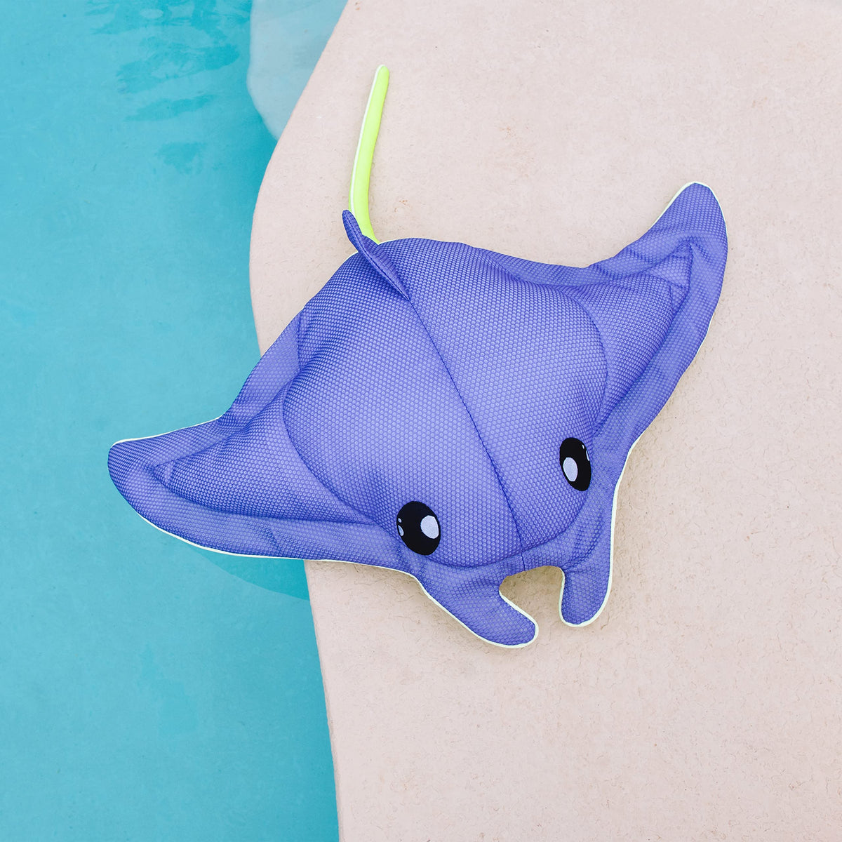 Big Joe Pool Petz Manta Ray drains and dries quickly for easy storage