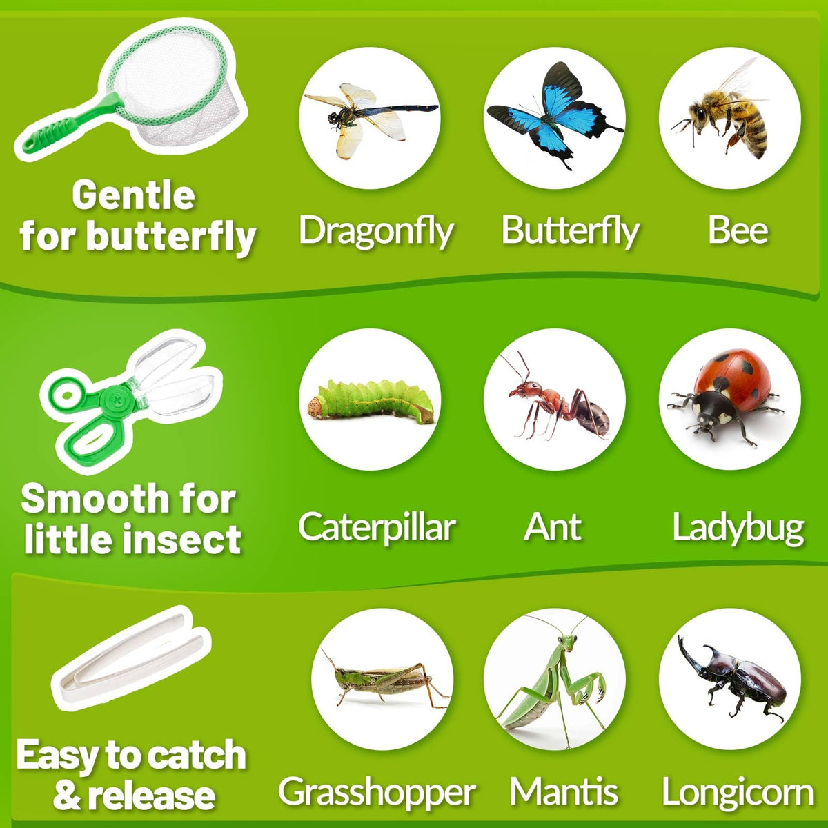 Biggun bug catcher kit with magnifying glass on lid for detail viewing.