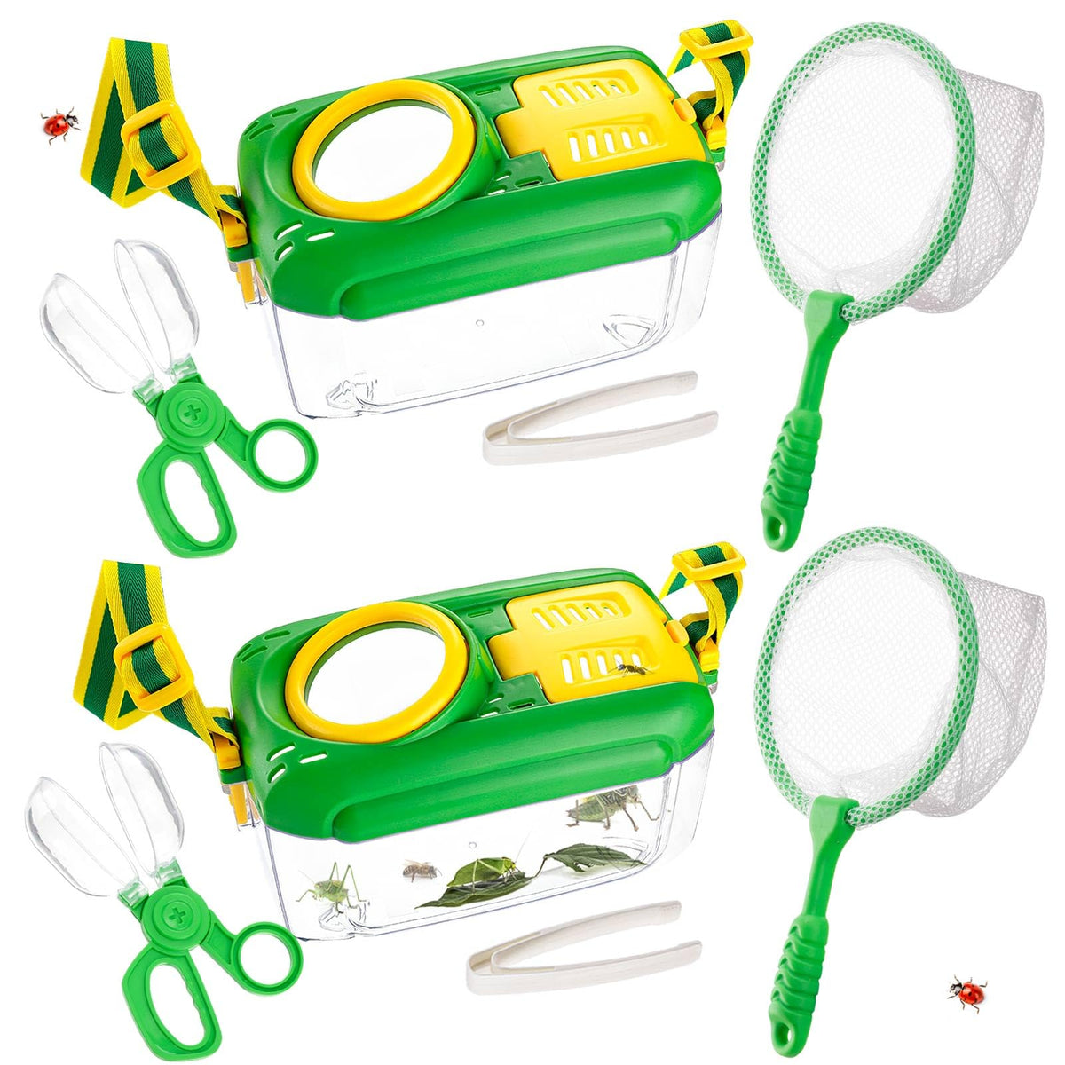 Biggun two-set bug catcher net enabling outdoor exploration for kids