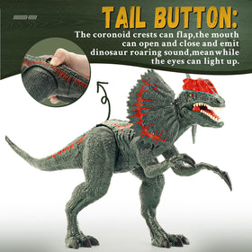 BIGSENYAO 14-inch Dilophosaurus toy ideal for desk display and playtime.