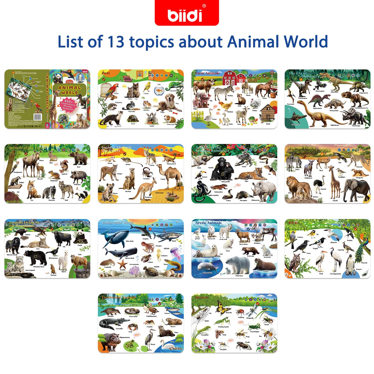 Biidi gift-ready packaging supports ages 3 to 8 and growing curiosity.