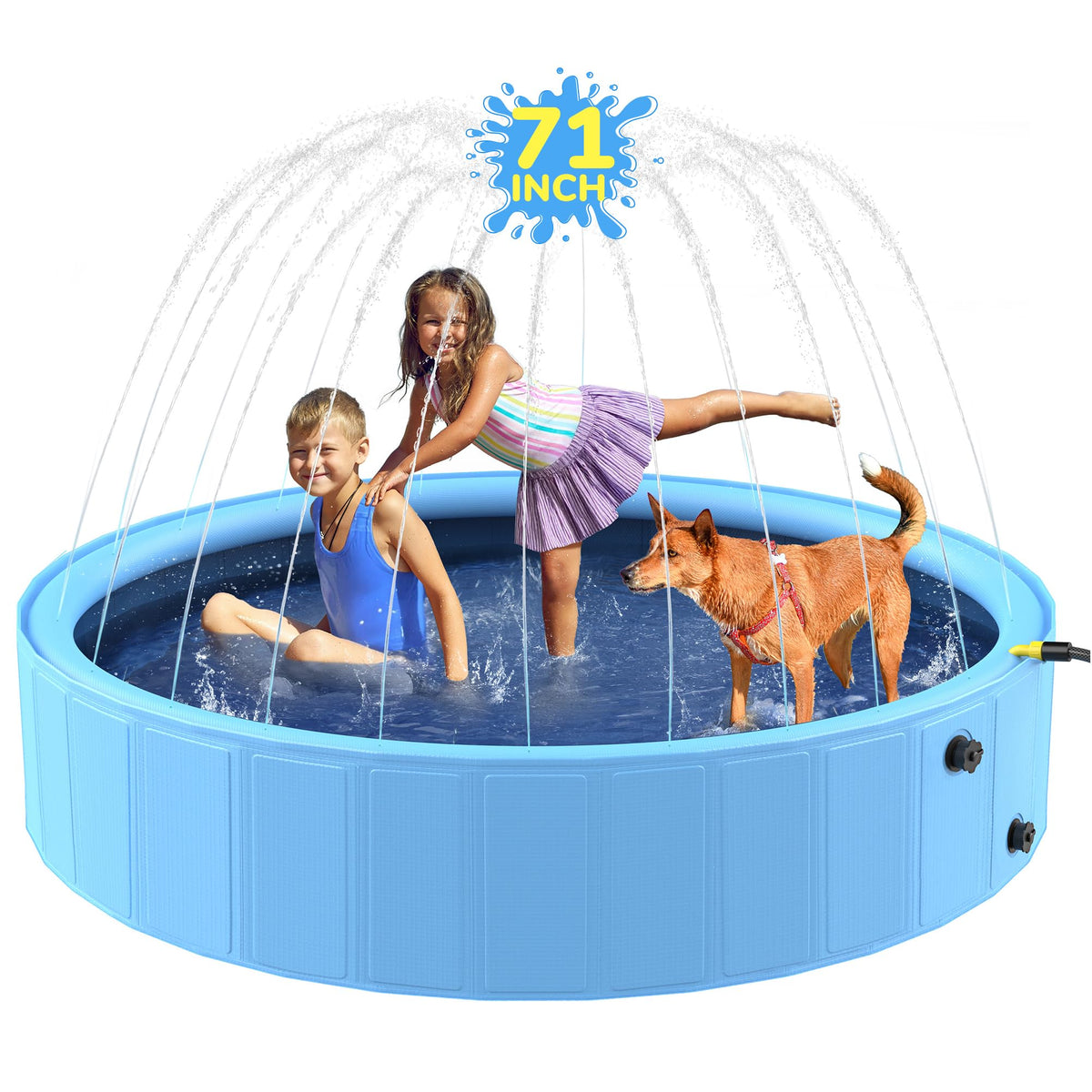 Bilibara 71-inch foldable dog pool ready for cooling and play.