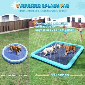 Bilibara splash pad enables dogs and kids to enjoy shallow water play together