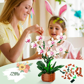 Bilinott Orchid Display stand supports elegant centerpieces and steady placement.
