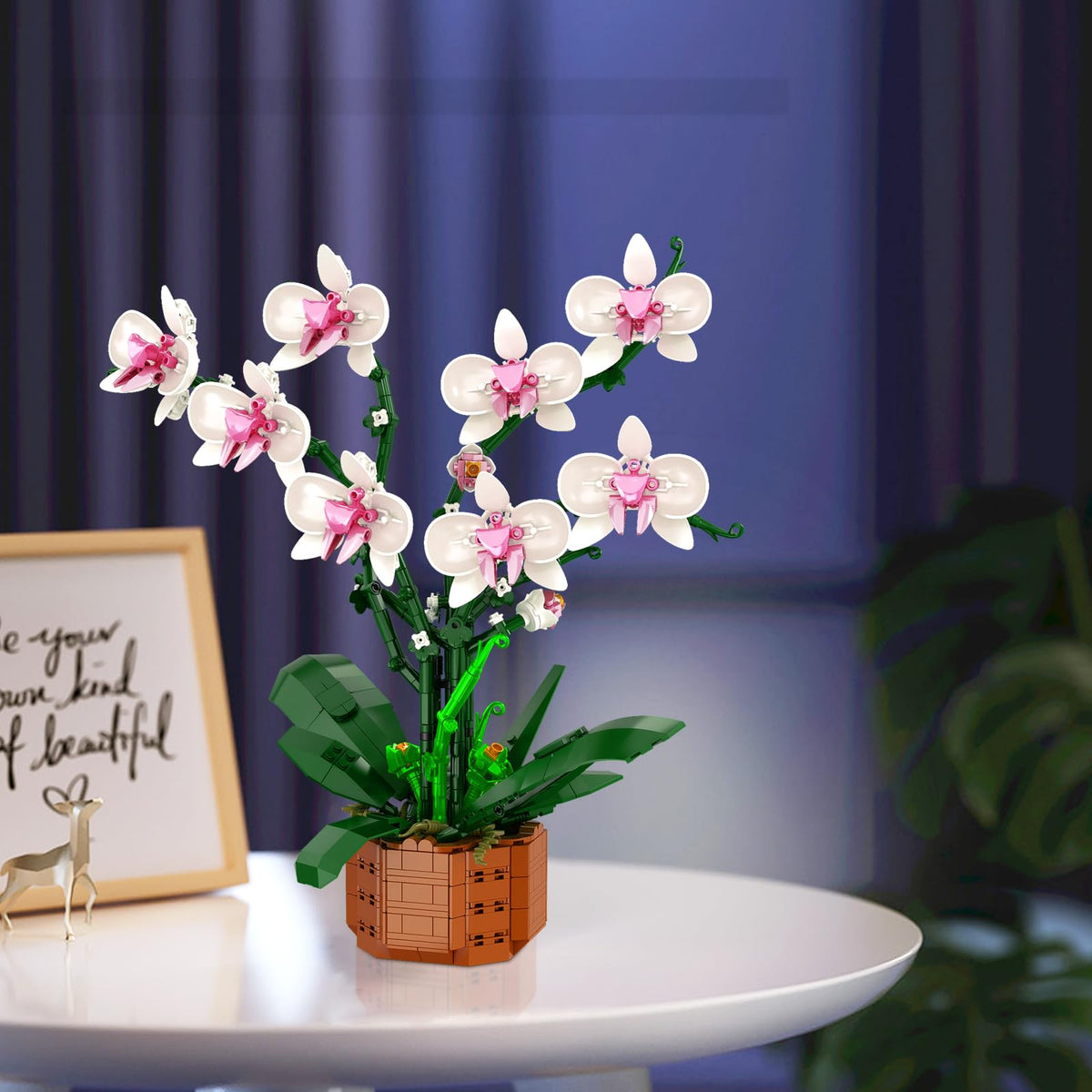Bilinott Orchid Gift-ready packaging makes a thoughtful choice for celebrations.