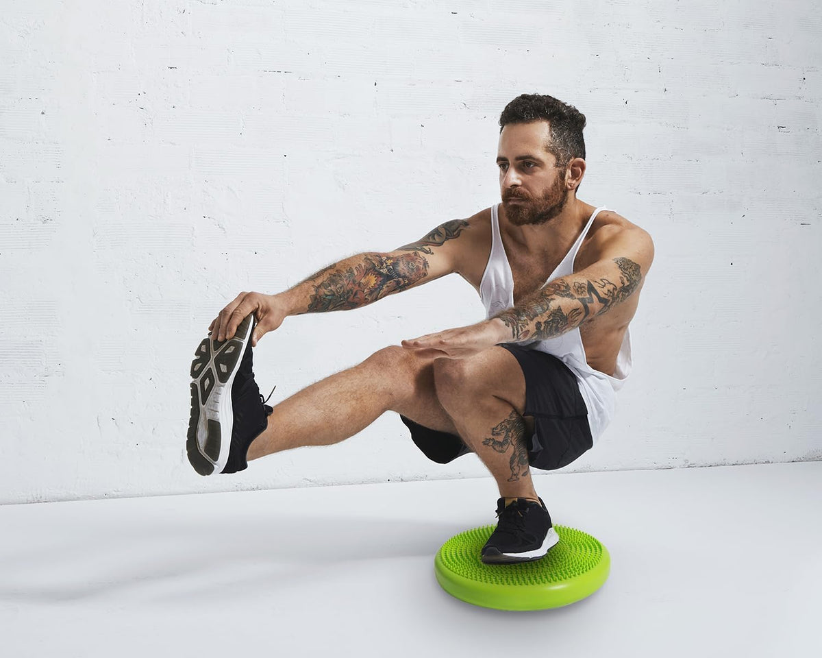 A dog balances on the Bintiva wobble cushion disc during play.