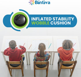 Bintiva wobble cushion disc pack with hand pump for easy inflation.