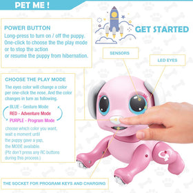 BIRANCO kids interactive toy engaging for family and friends.