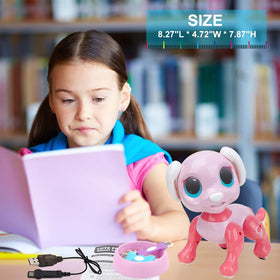 BIRANCO pink toy gift for kids perfect holiday surprise.