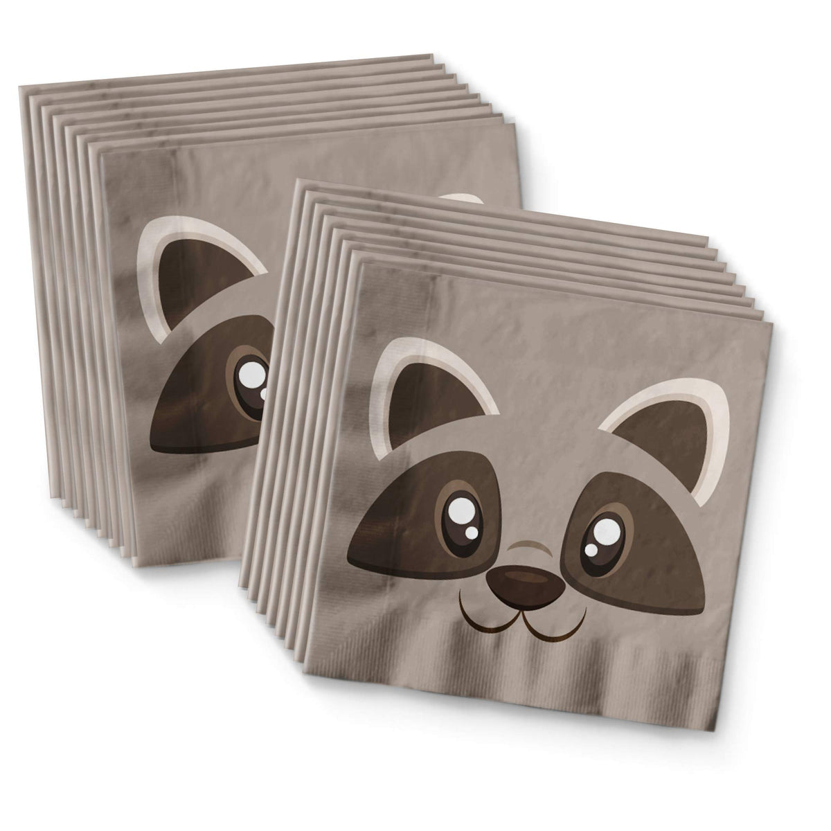 Birthday Galore raccoon graphic design features bright colors and charming illustrations.