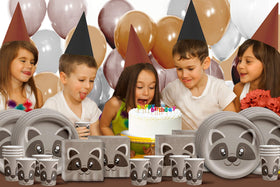 Birthday Galore raccoon woodland theme enhances kid-friendly party decor.