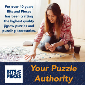 Bits and Pieces 300-piece puzzle colorful printing for immersive solving