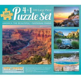 Bits and Pieces 4-in-1 puzzle pack cover, eye-catching packaging for family game night