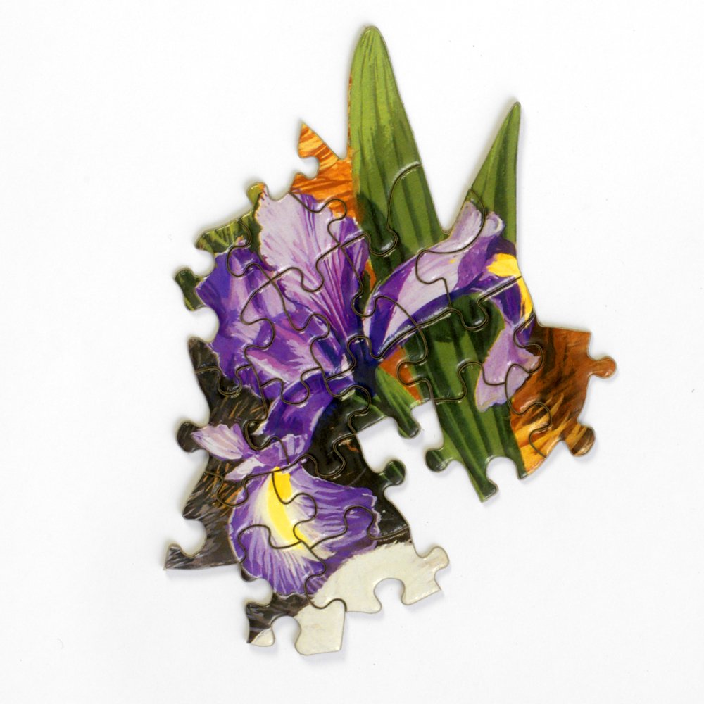 Bits and Pieces Large 20x21 inch puzzle with easy-to-hold pieces