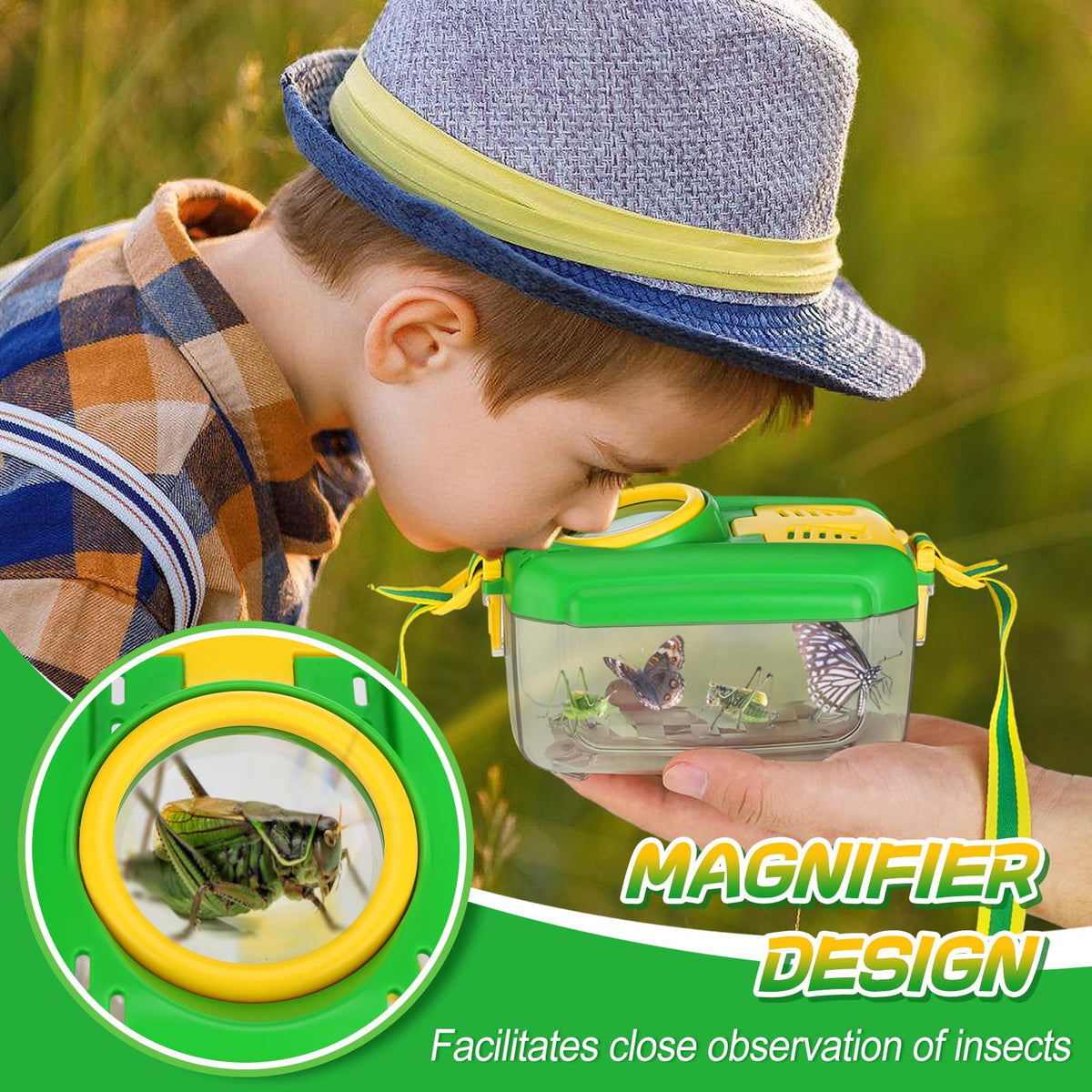 Biubee bug box with magnifying glass for close observation.