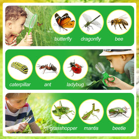 Biubee safe, durable plastic design for ages 3–8.