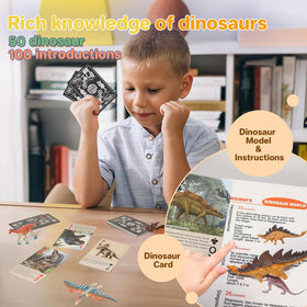 BIWASE dinosaur toy cards showcase exquisite photos to support quick learning