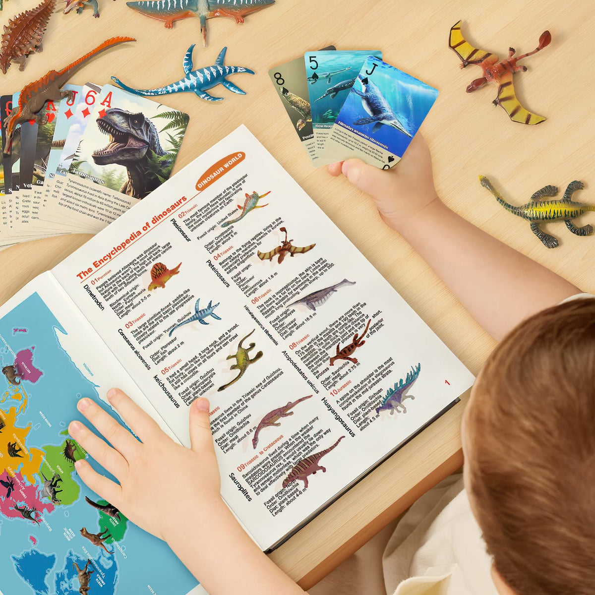 BIWASE compact book design suits ages 3-12 for versatile play
