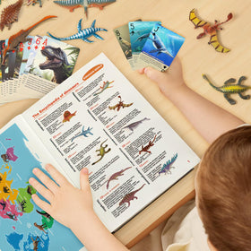 BIWASE compact book design suits ages 3-12 for versatile play
