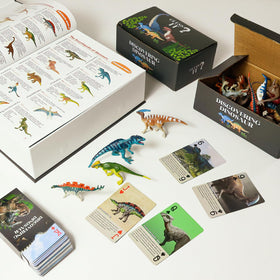 BIWASE travel-ready dinosaur book is ideal for on-the-go learning