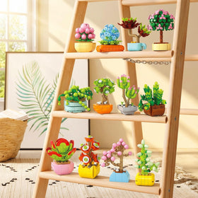 BIZNESMEN succulent DIY kit instruction manual view with clear building steps