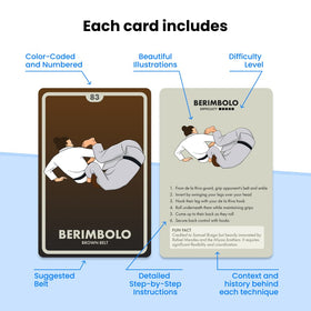 BJJ Stuff flashcards color-coded positions aid easy, fast learning.