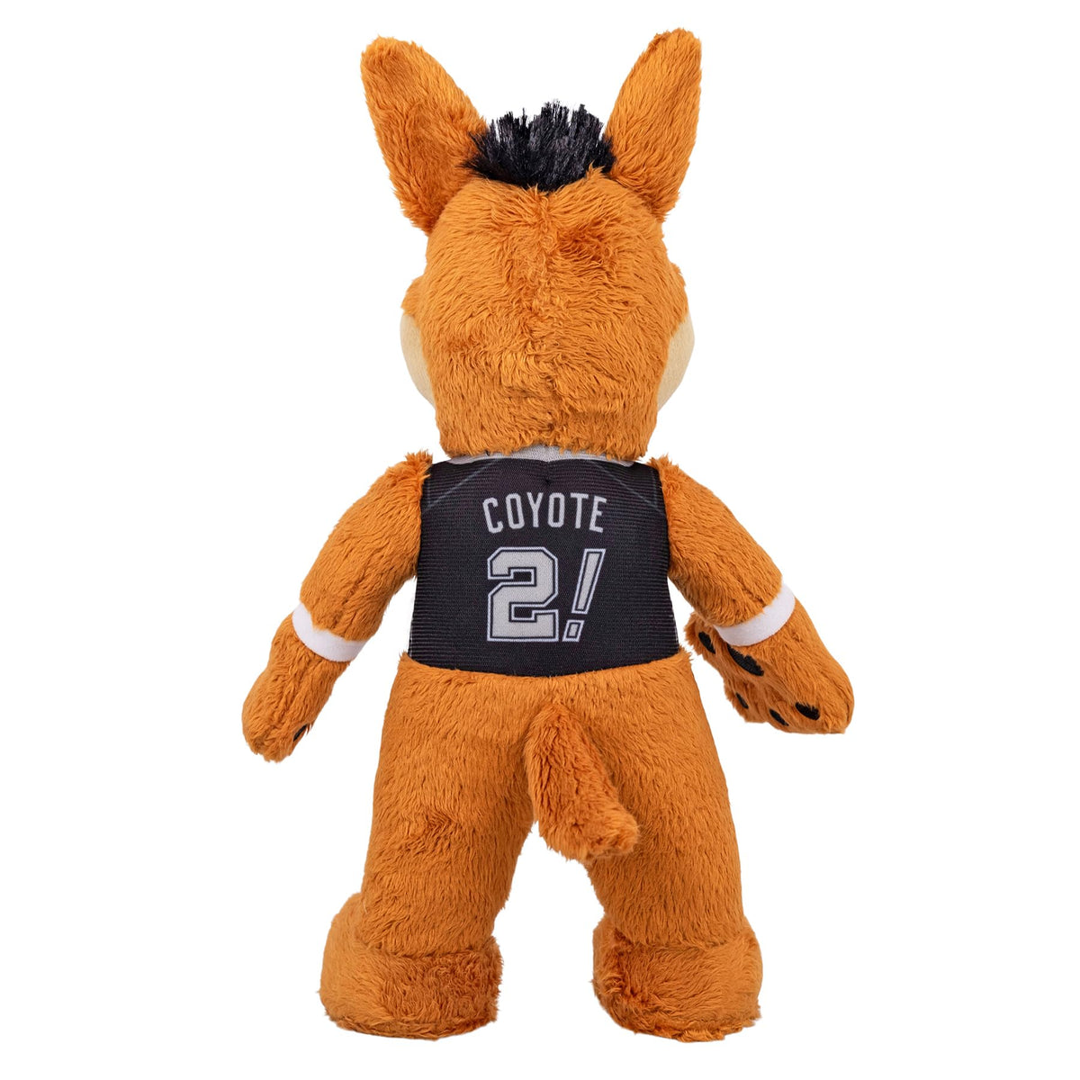 Coyote pose ready for quick play or social media photos
