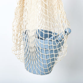 BLUE GINKGO sea shell mold; versatile sand shapes.