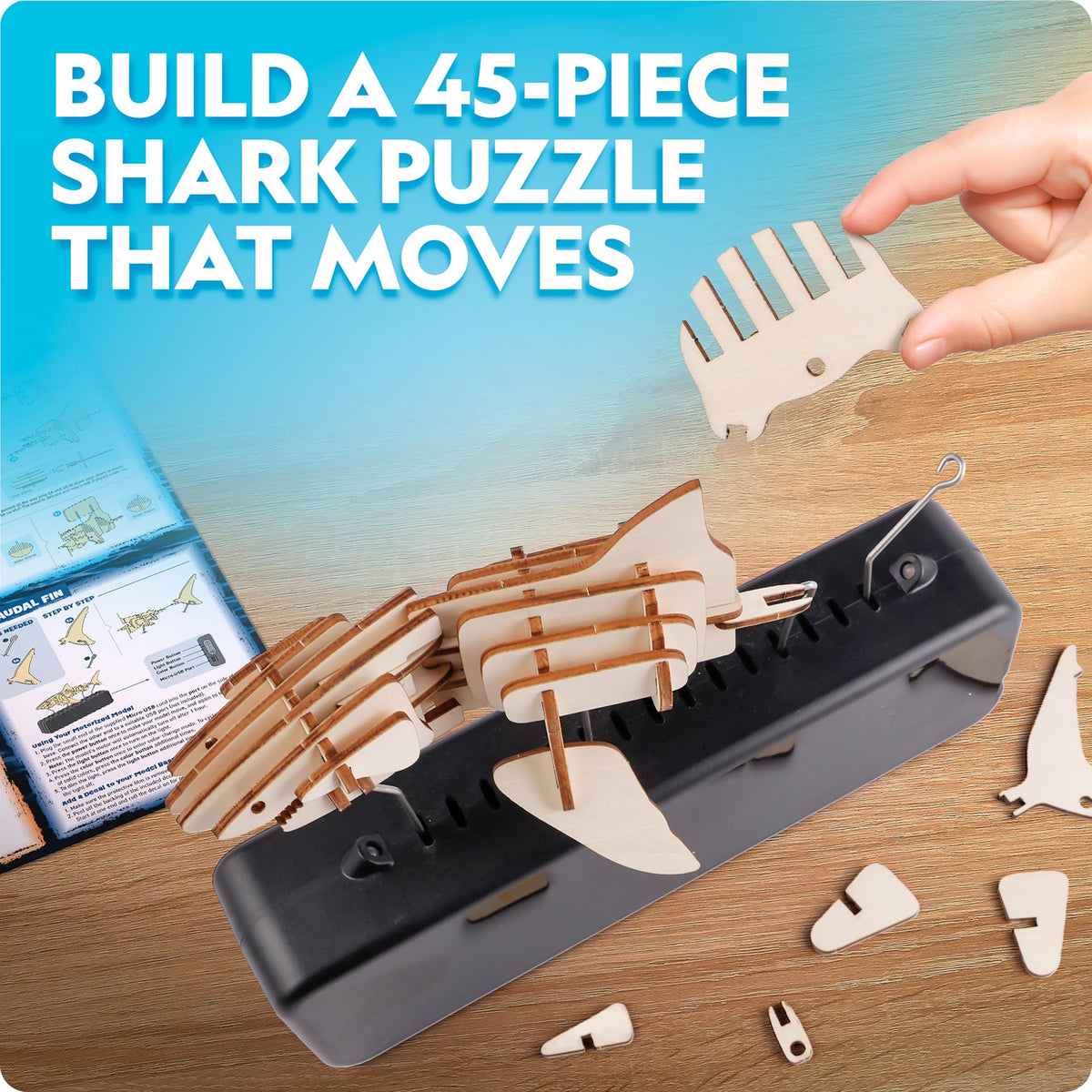 Blue Marble 3D shark model assembly pieces designed for kid-friendly building