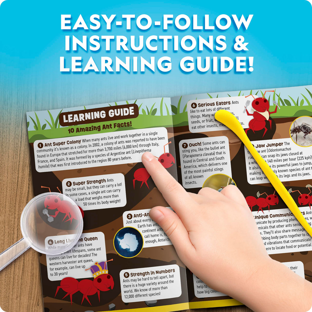 Blue Marble included instructions make setup simple for curious kids.