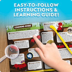 Blue Marble included instructions make setup simple for curious kids.