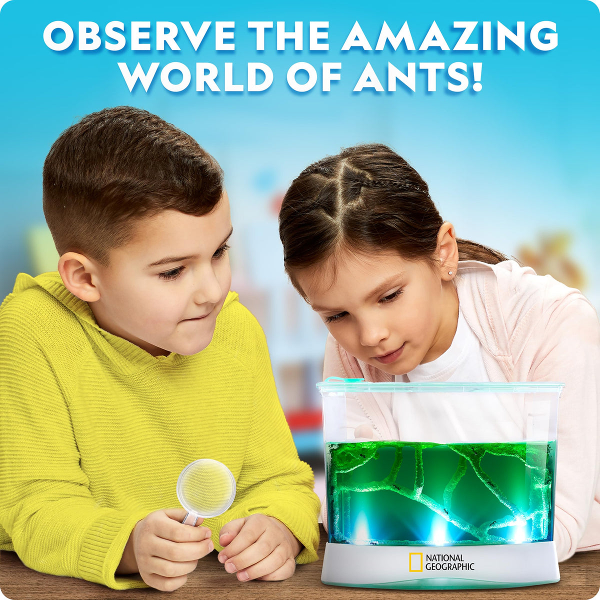 Blue Marble ant habitat lid with built-in magnifiers for close-up ant observations.