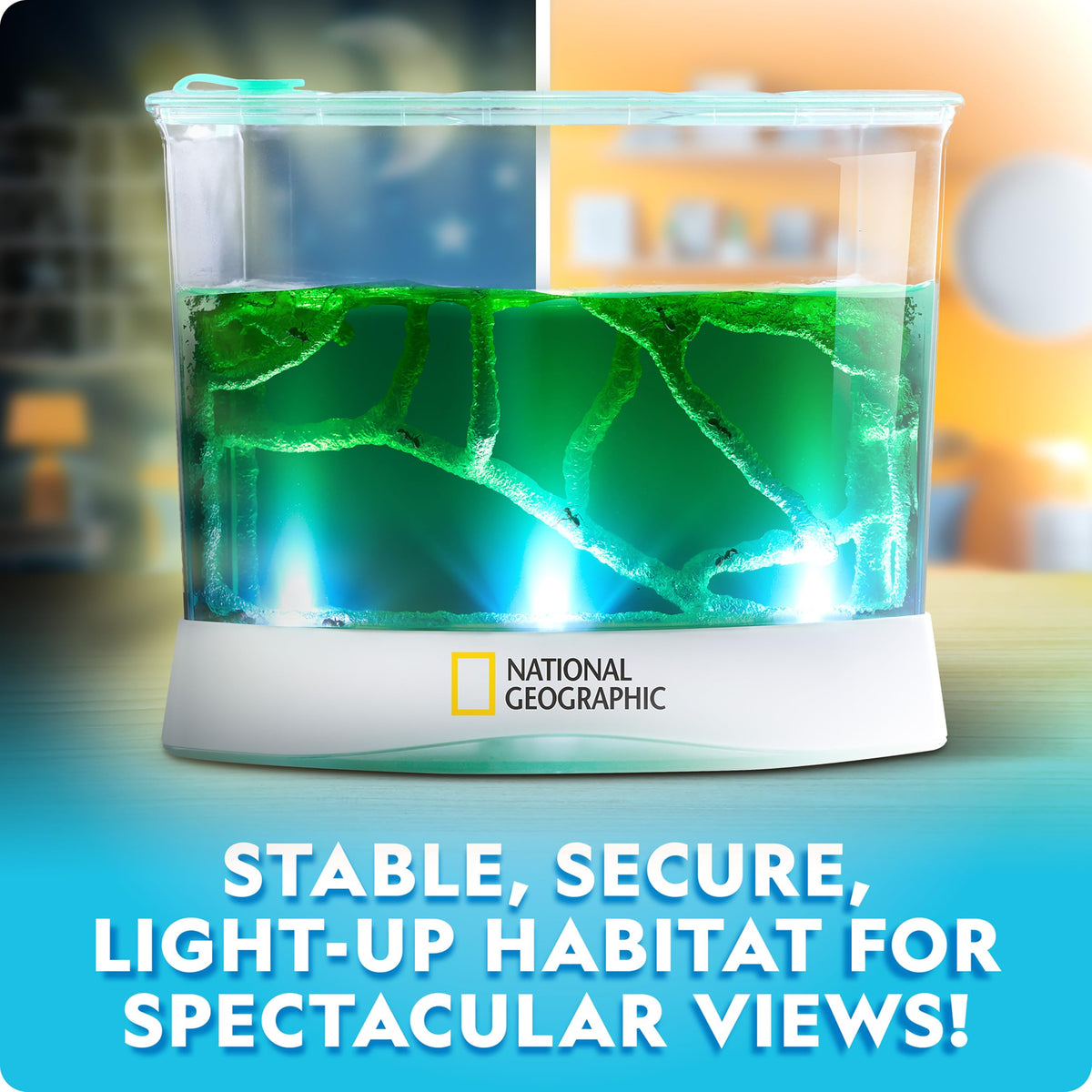 Blue Marble tunnel starter tool helps kids explore ant tunnels easily.
