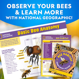 Blue Marble bee habitat kit Learning Guide explains pollination and bee anatomy