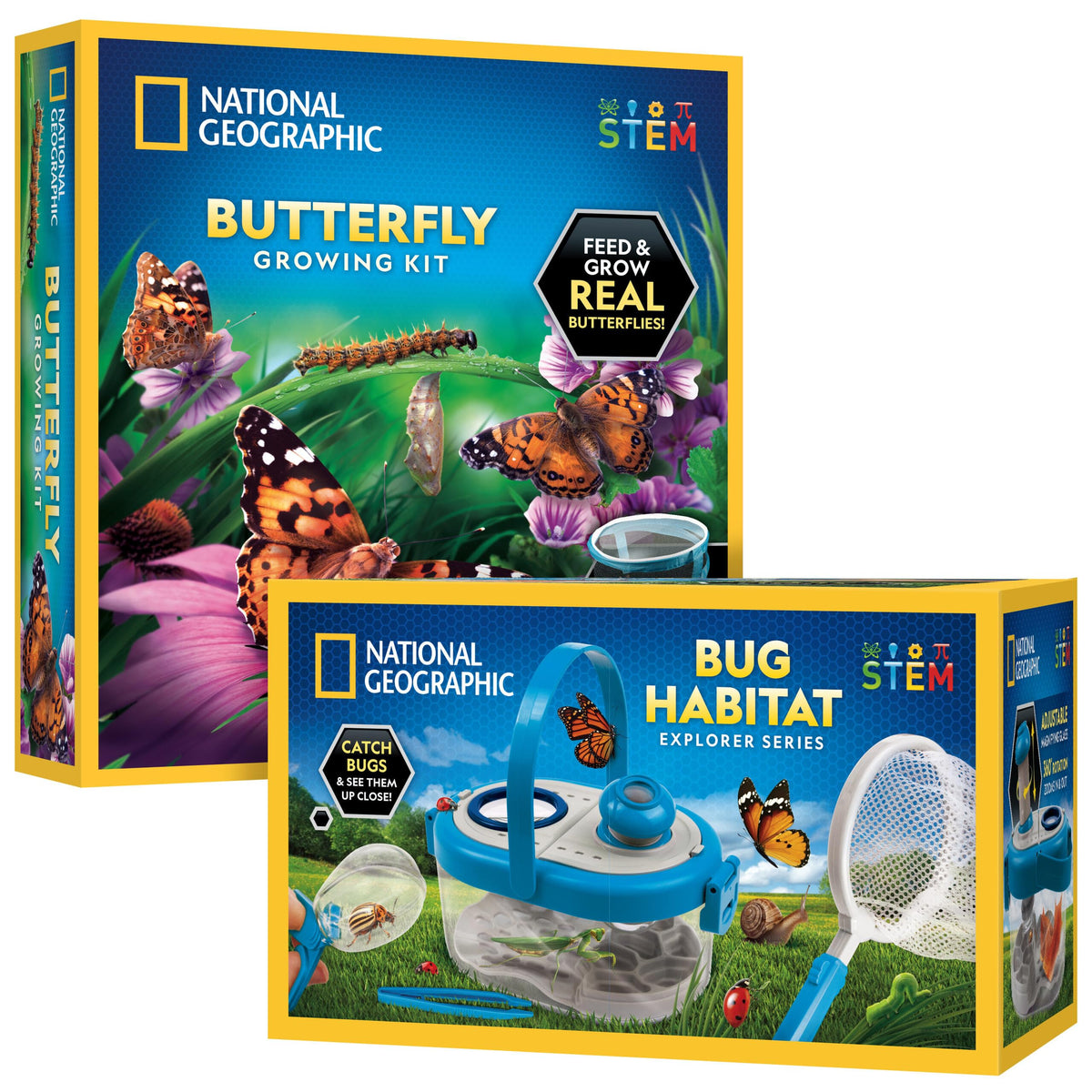 Blue Marble butterfly growing kit with caterpillars ready for observation.