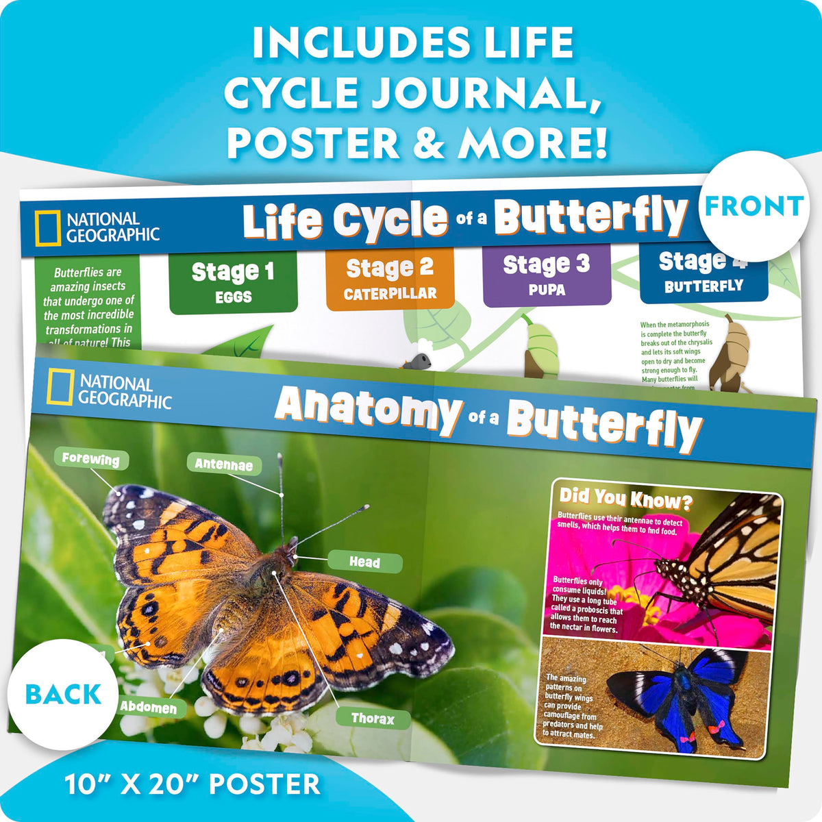 Blue Marble kids observing caterpillars fosters curiosity and patience.