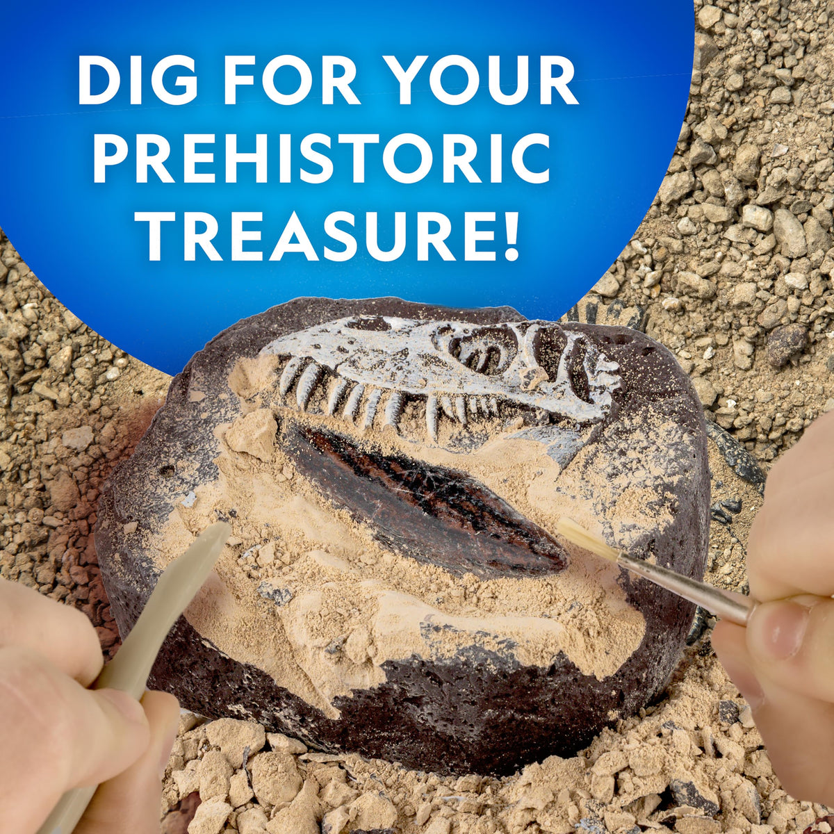 Blue Marble Dino Dig Tools realistic excavation tools for hands-on paleontology.