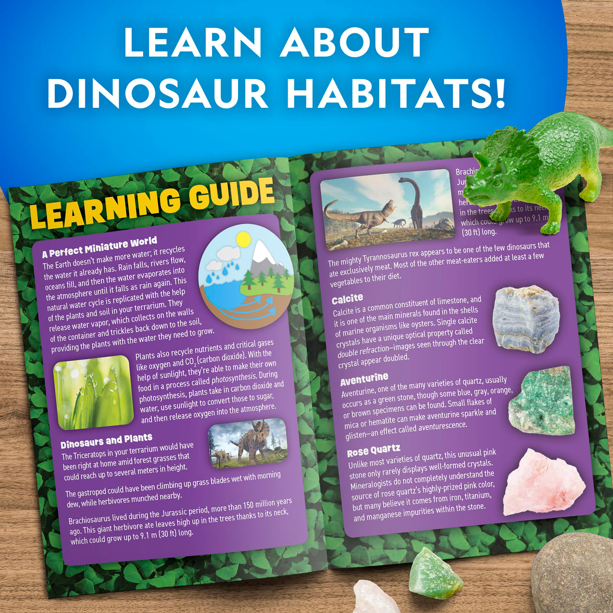 Blue Marble Dinosaur Terrarium stickers decorate the scene with color