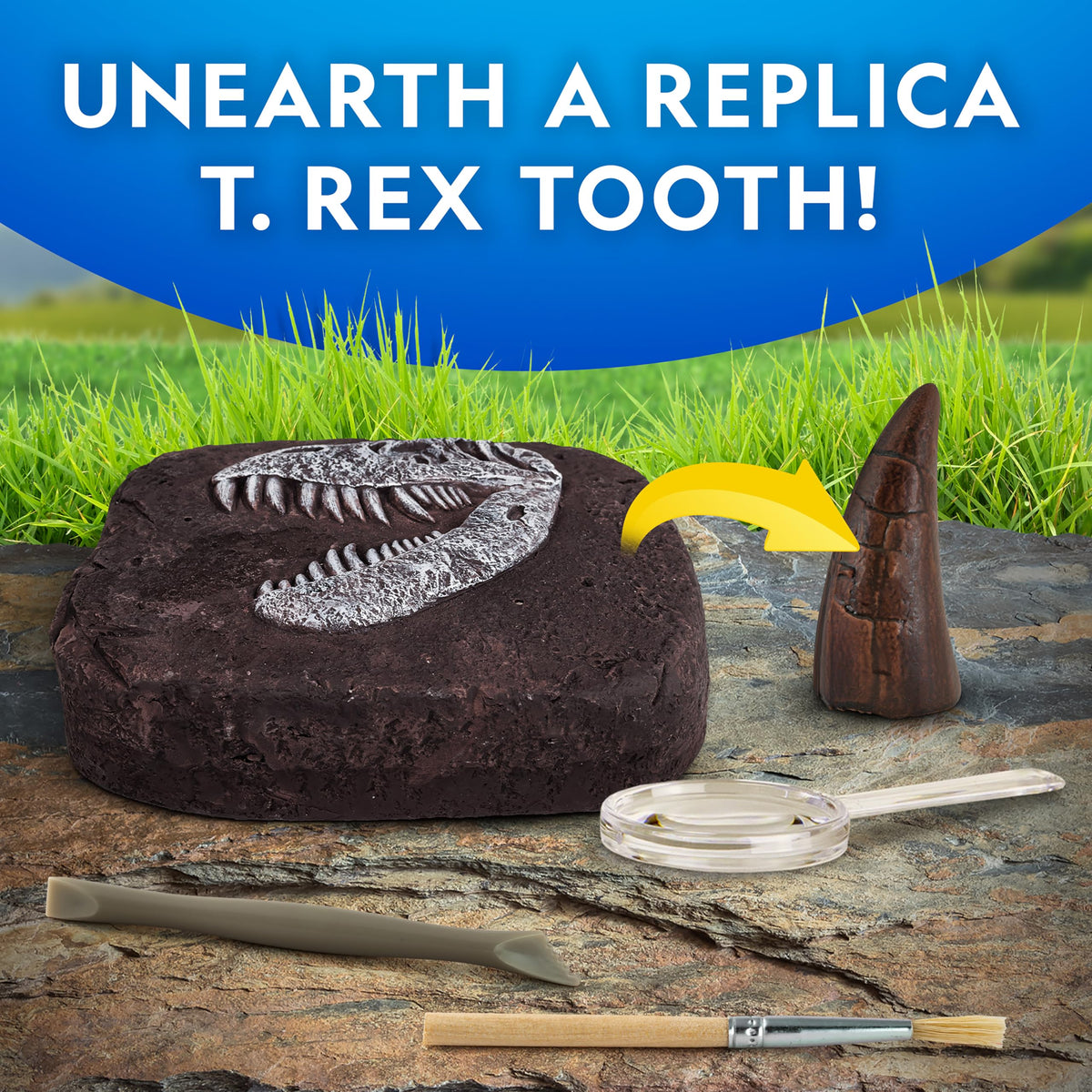 Blue Marble Dino Brick dig brick hiding a fossil replica.