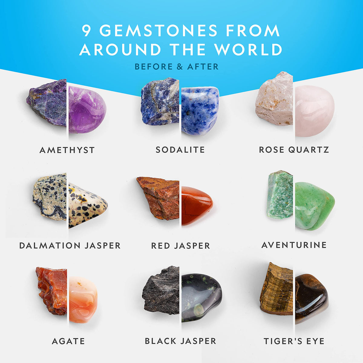 Blue Marble full color learning guide opened to science activity pages.