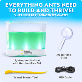 Blue Marble light-up terrarium highlights ants' activities with dramatic illumination.