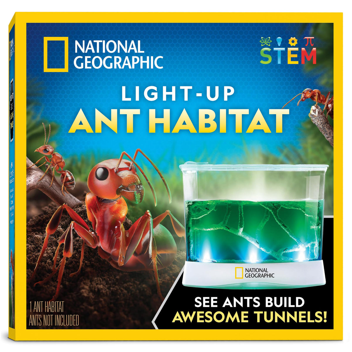 Blue Marble National Geographic Ant Habitat light-up terrarium for day and night viewing.