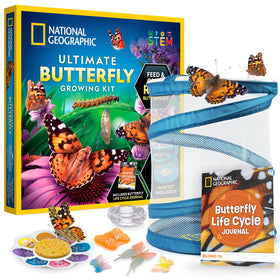 Blue Marble Butterfly Habitat Kit enclosure provides clear view for observation.