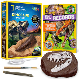 Blue Marble National Geographic Dino Fossil Dig Kit close-up of the T. rex tooth replica.