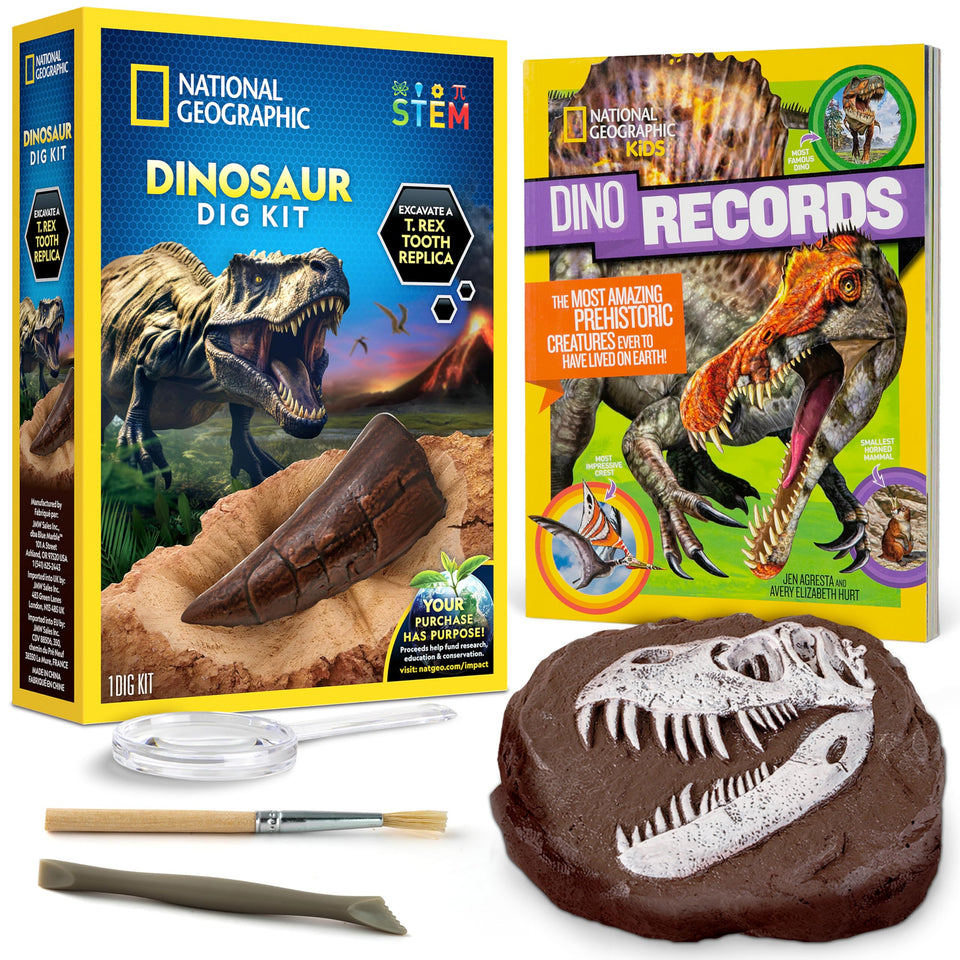 Blue Marble National Geographic Dino Fossil Dig Kit close-up of the T. rex tooth replica.