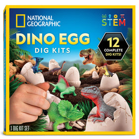 Blue Marble Dinosaur Dig Kit eggs—exciting fossil excavation for kids