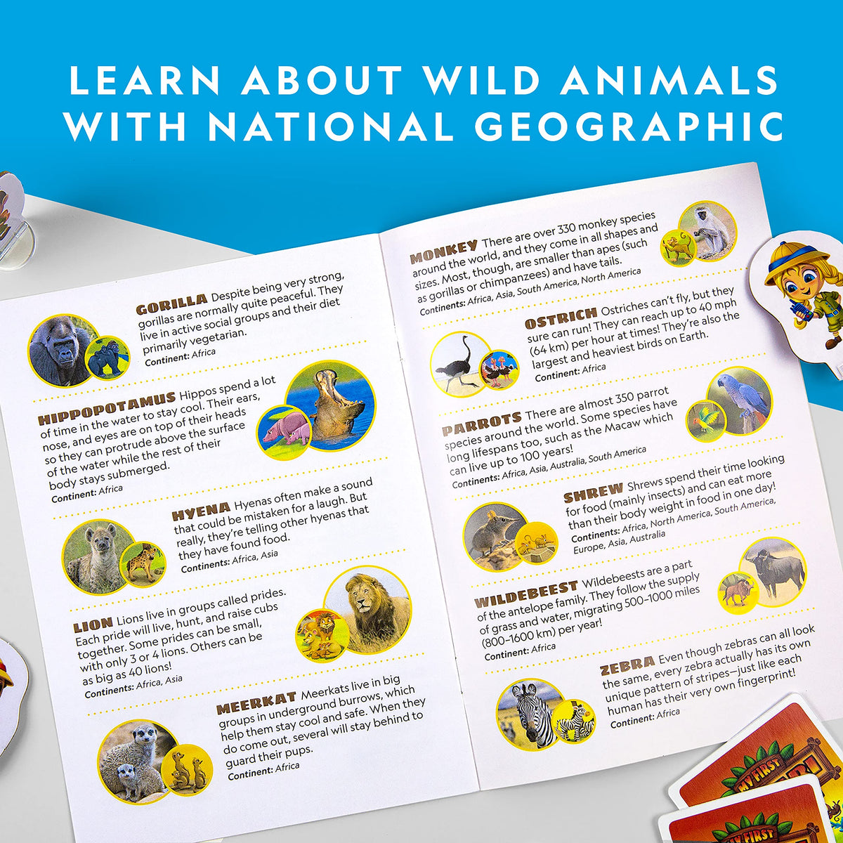 Blue Marble National Geographic family game night at the table enjoying together