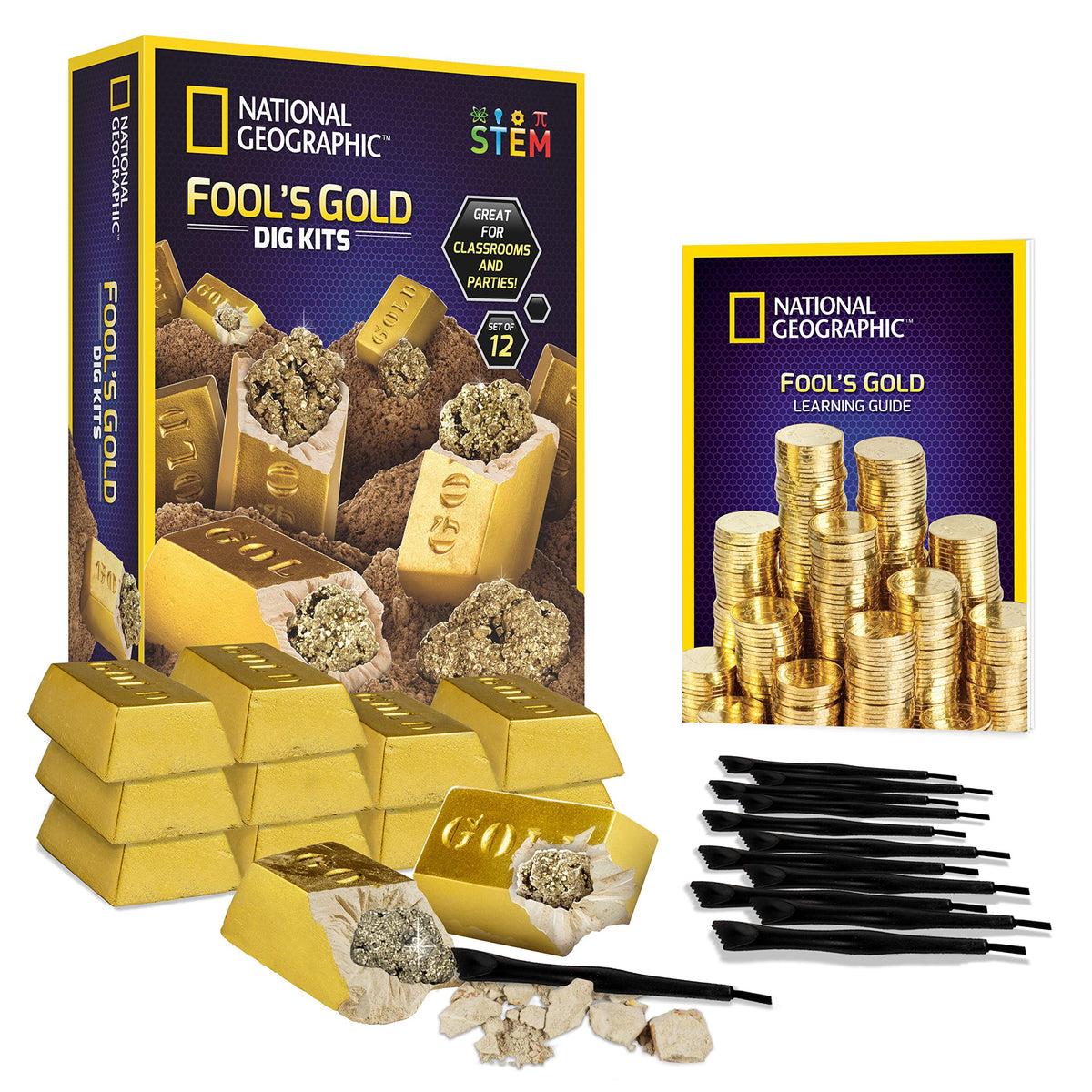 Blue Marble Fool’s Gold Dig Kit bar bricks reveal pyrite specimens for hands-on learning.